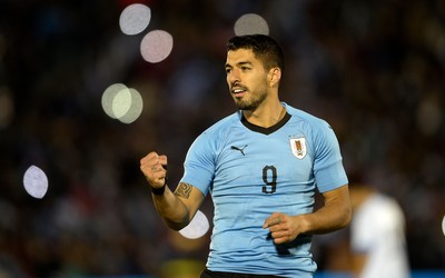 熊猫电竞焦点-乐极生悲