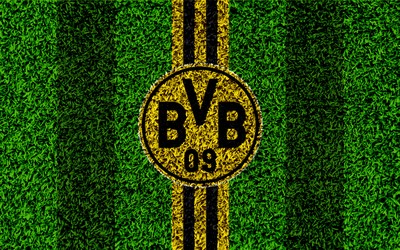 熊猫电竞评论-马奎尔对抗成功率达%数据会说话